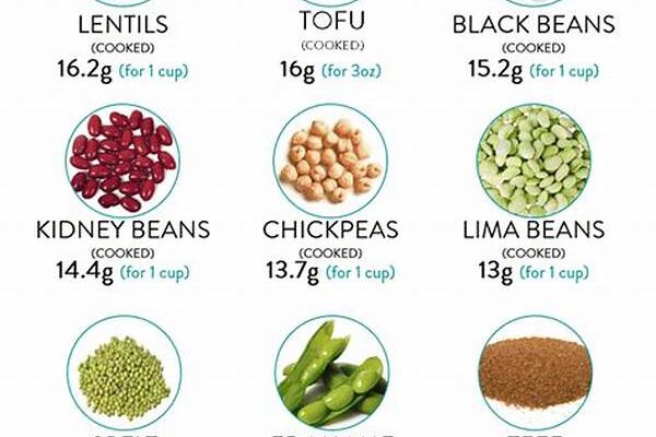 Cost-effective Vegan Protein Sources
