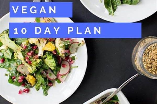 Low-calorie Plant-based Meal Plans