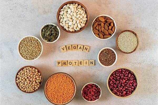 Economical Plant-based Protein Alternatives