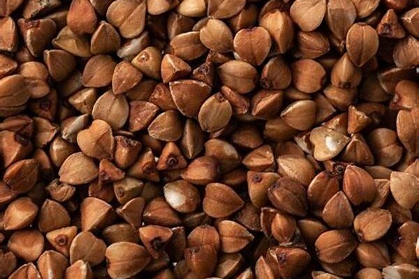 Ethical Vegan Sweetening Ingredients